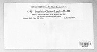 Image Associated With the Occurence
